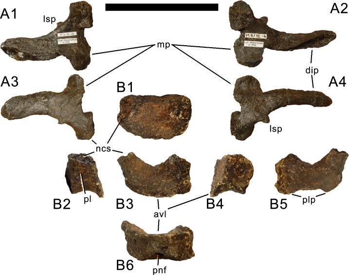 Figure 18