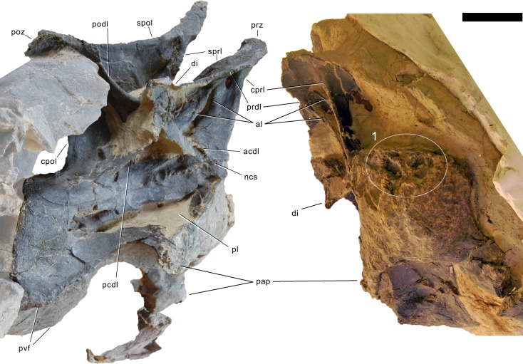 Figure 28