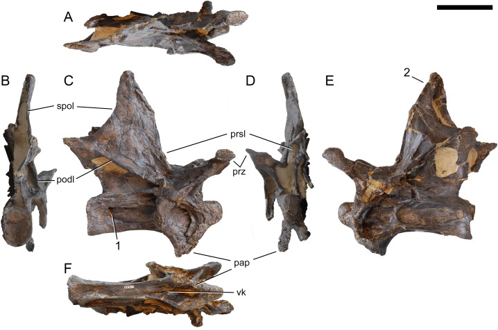 Figure 21