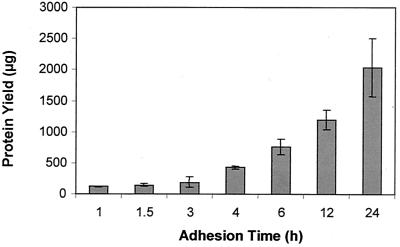 FIG. 1