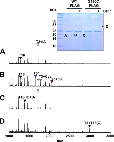 FIG. 7.