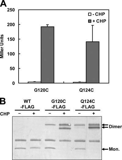 FIG. 6.