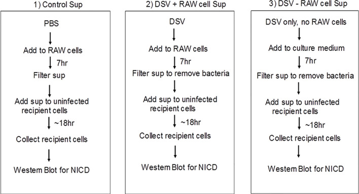 Figure 6