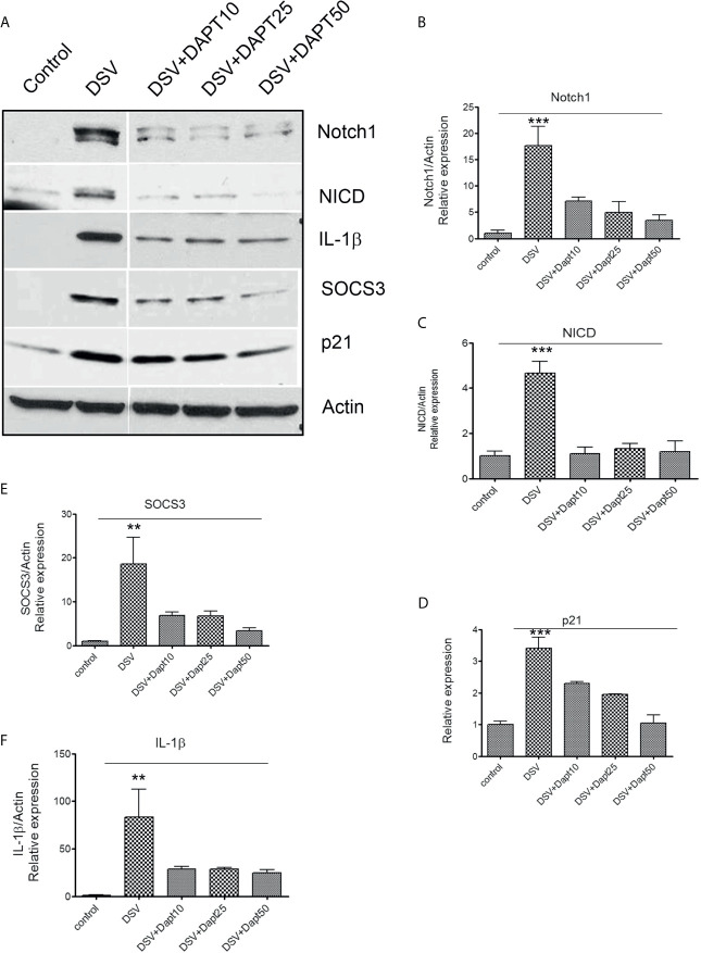 Figure 3