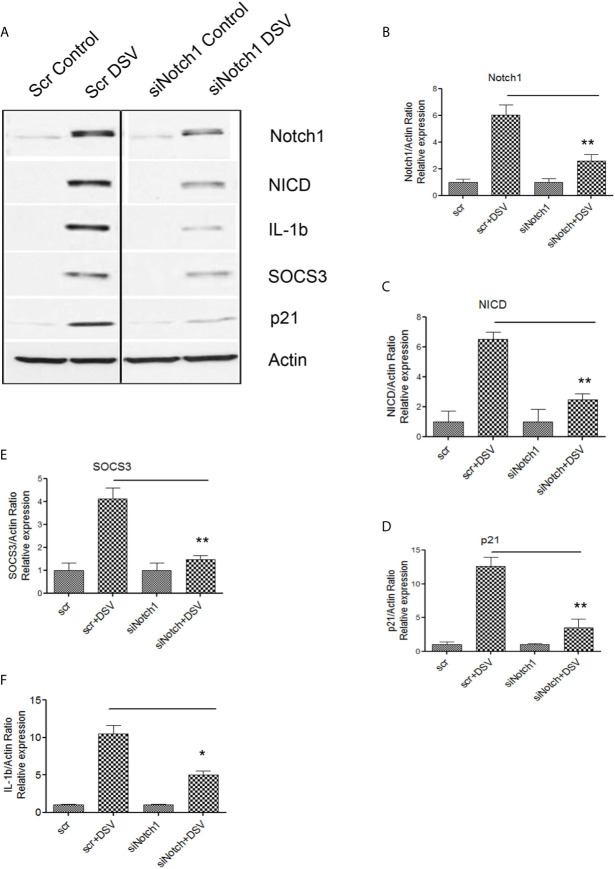 Figure 4