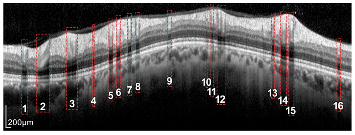 Figure 6