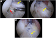 Fig 7