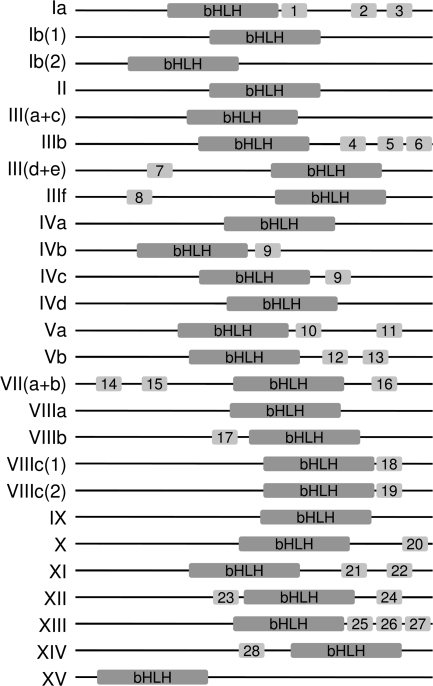 FIG. 5.