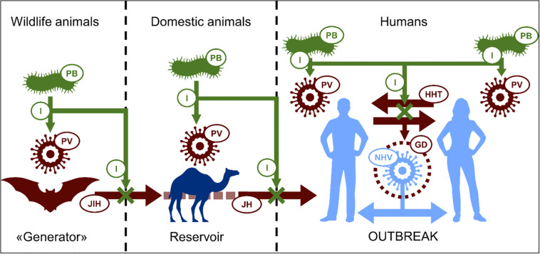 FIGURE 1