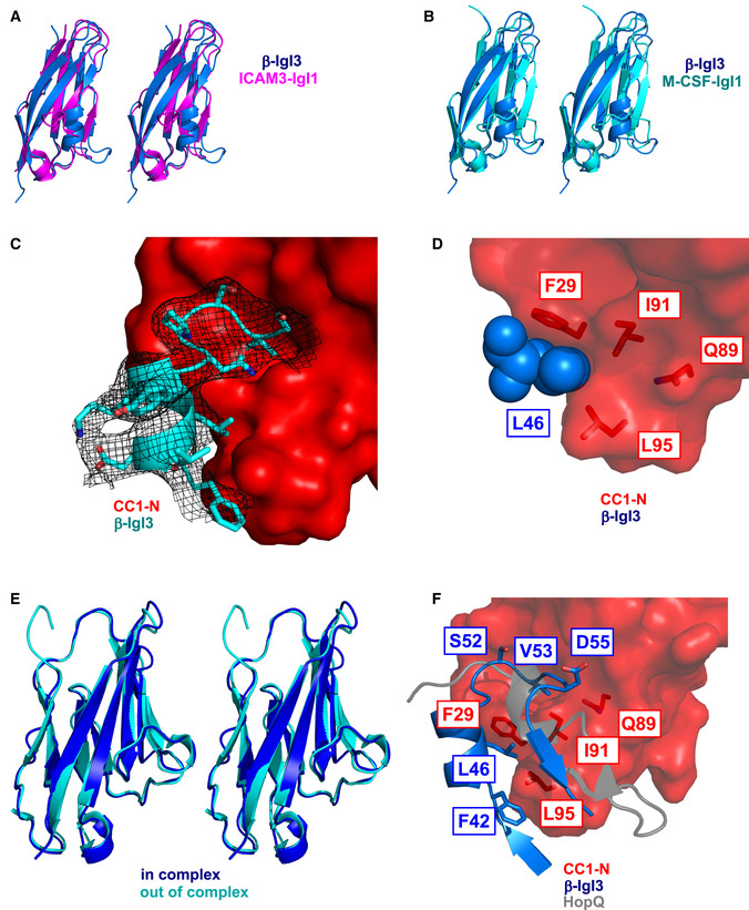 Figure EV3