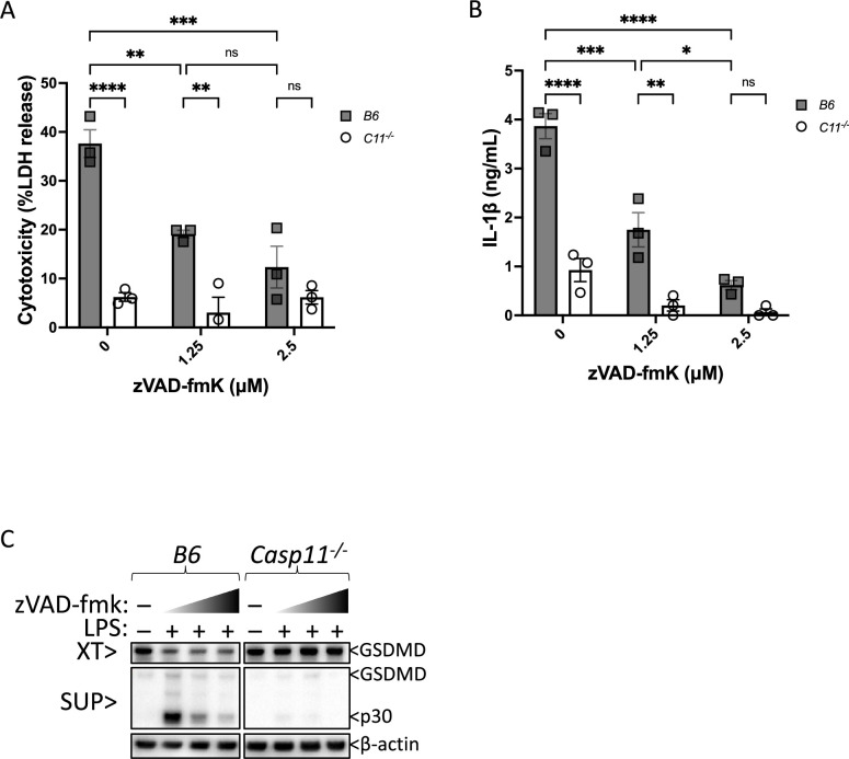 Figure 2—figure supplement 2.