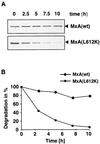 FIG. 4