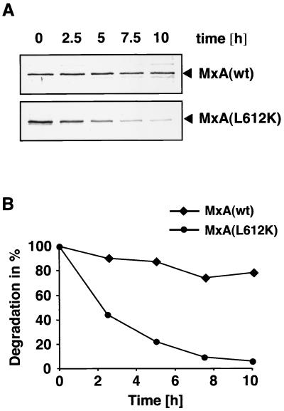 FIG. 4