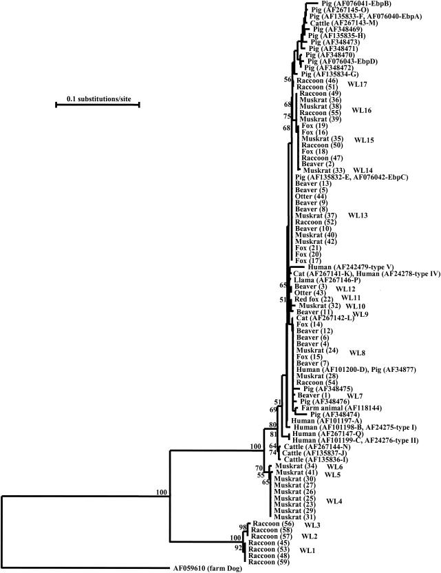 FIG. 1.