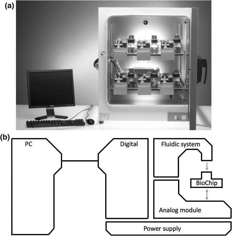 Fig. 1