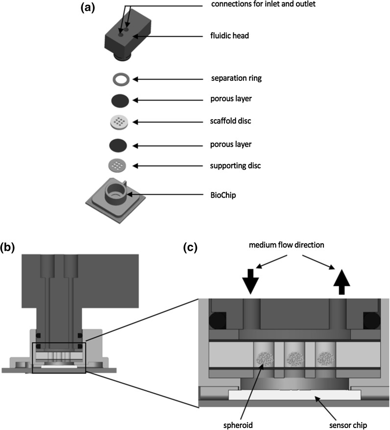 Fig. 3