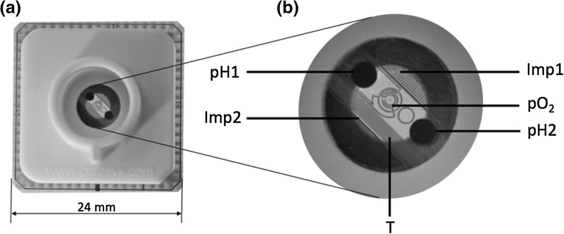 Fig. 2