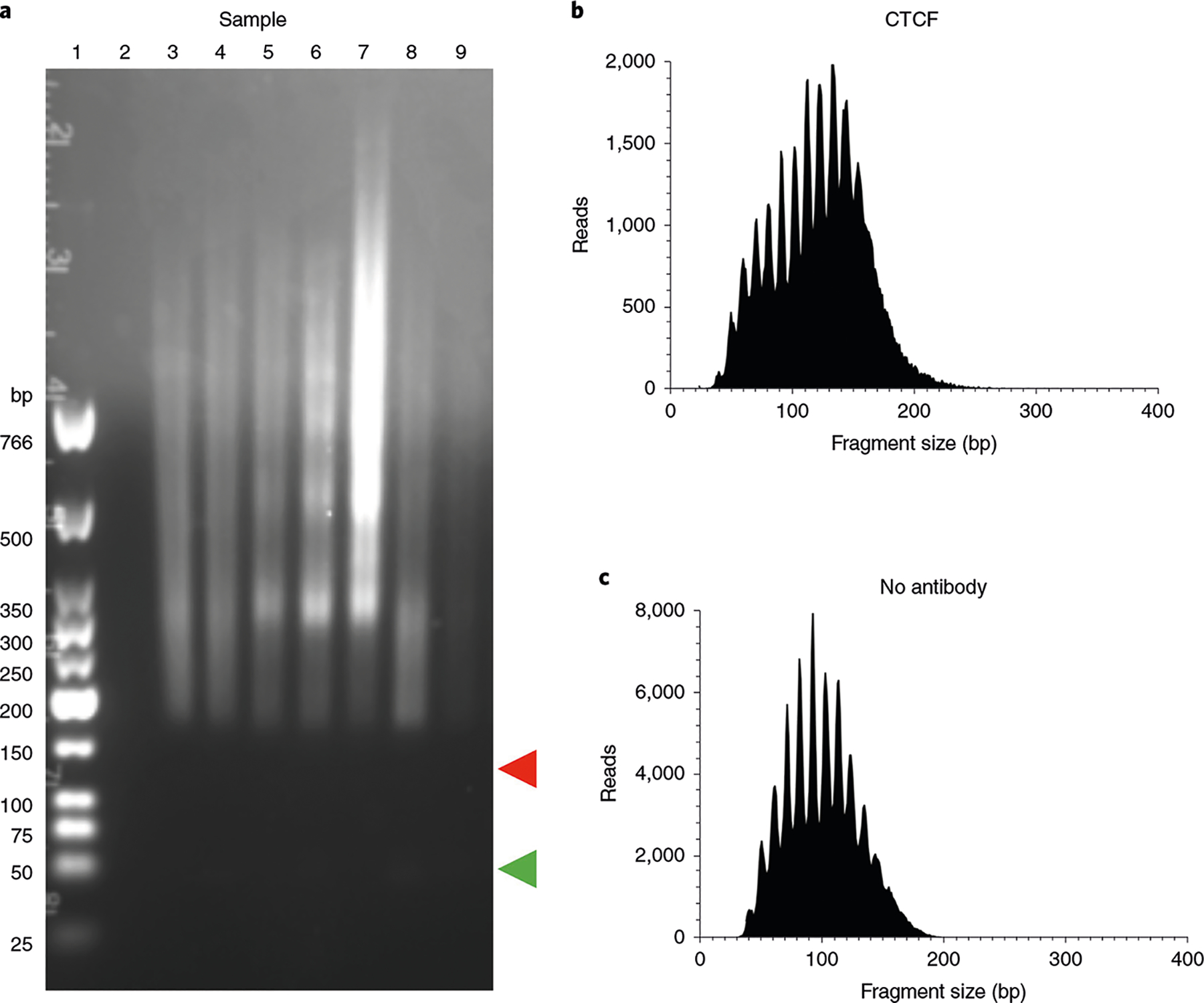 Fig. 4 |