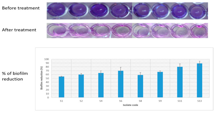 Figure 7