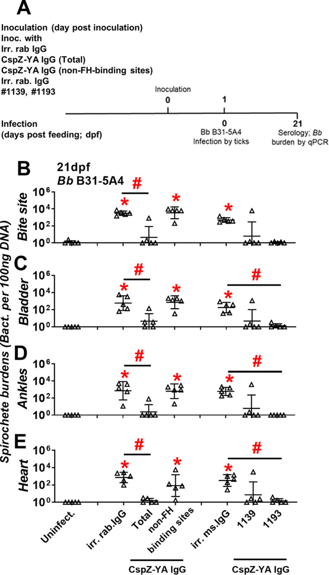 FIG 4