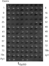 Figure  1