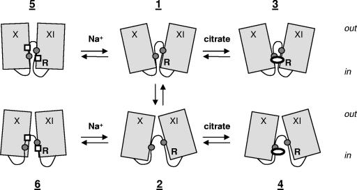 FIG. 13.