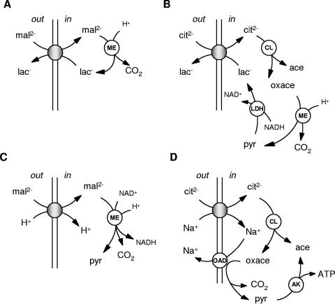 FIG. 2.