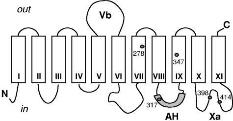 FIG. 8.