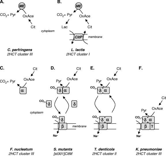 FIG. 4.