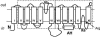 FIG. 9.