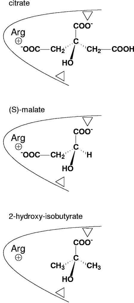 FIG. 12.