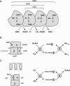 FIG. 3.