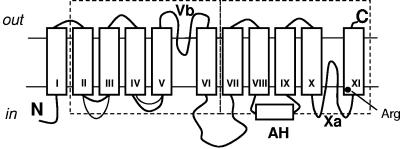 FIG. 9.