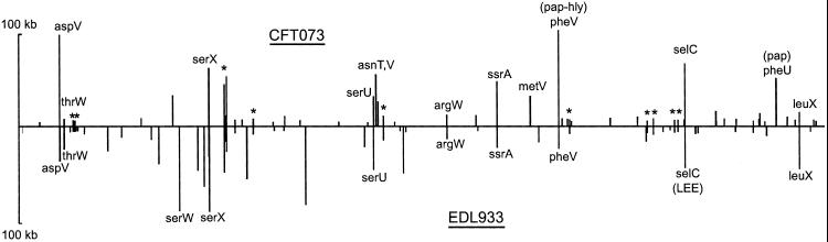 Fig 3.