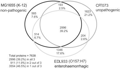 Fig 2.