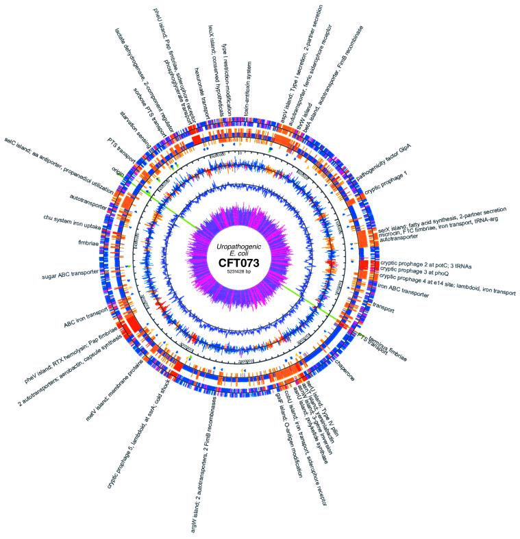 Fig 1.