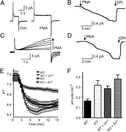 Fig. 5.