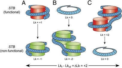 Fig. 5.