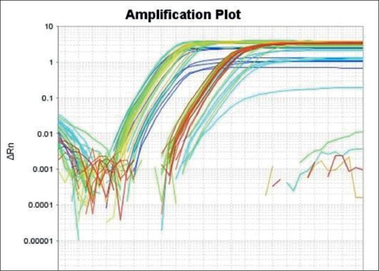 Graph 1