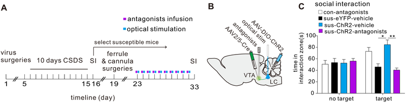 Fig. 6.