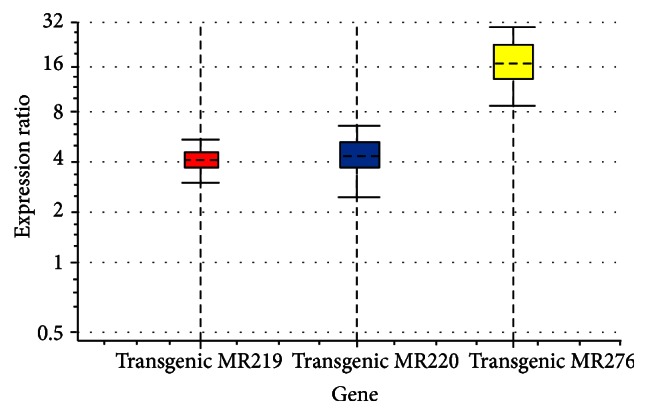 Figure 5