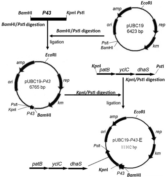 Fig. 2