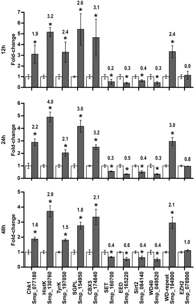 Fig 6