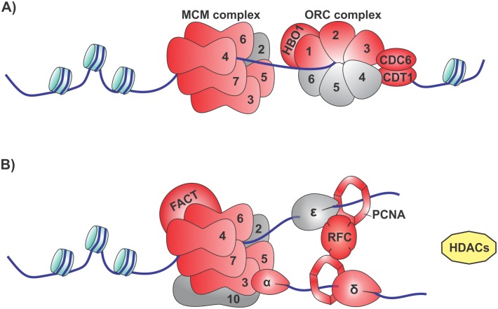 Fig 10