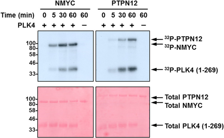 Figure 5.