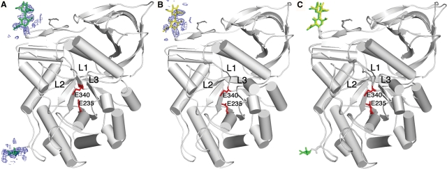 Fig. 6