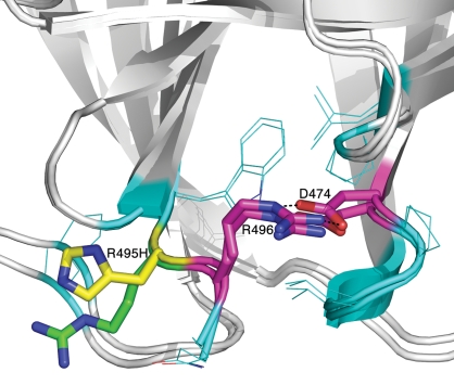 Fig. 4