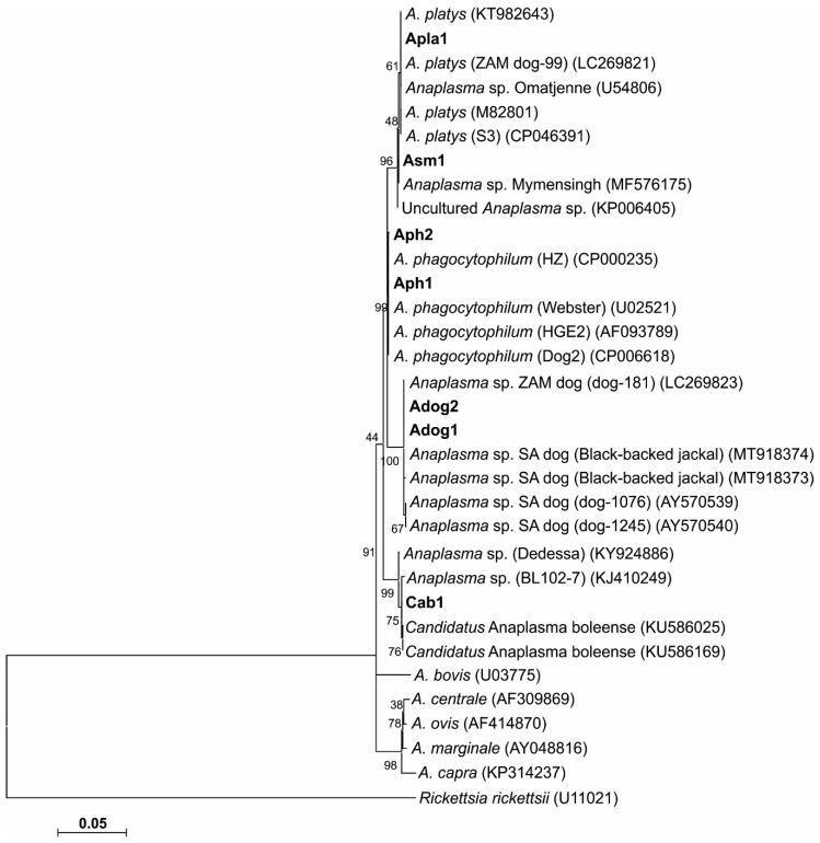 Figure 2