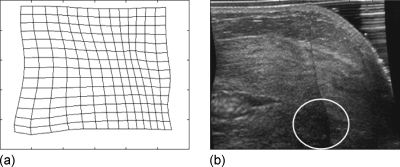 Figure 8