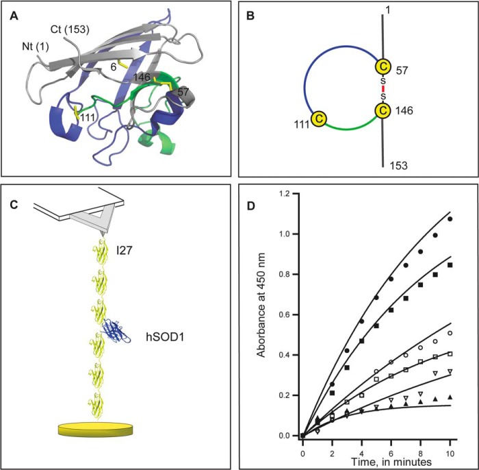 FIGURE 1.